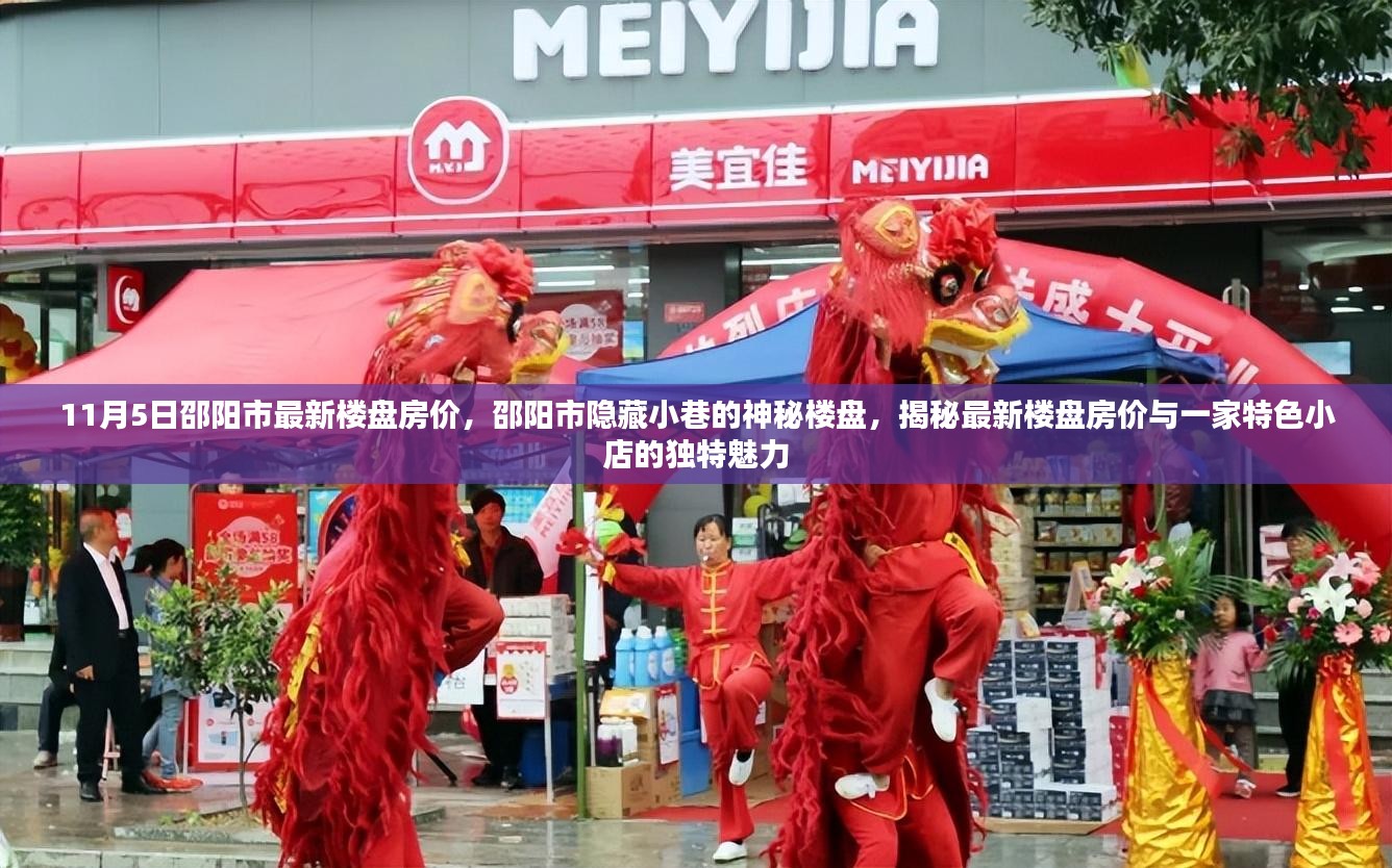 邵阳市最新楼盘房价揭秘，神秘小巷楼盘与特色小店的魅力探寻