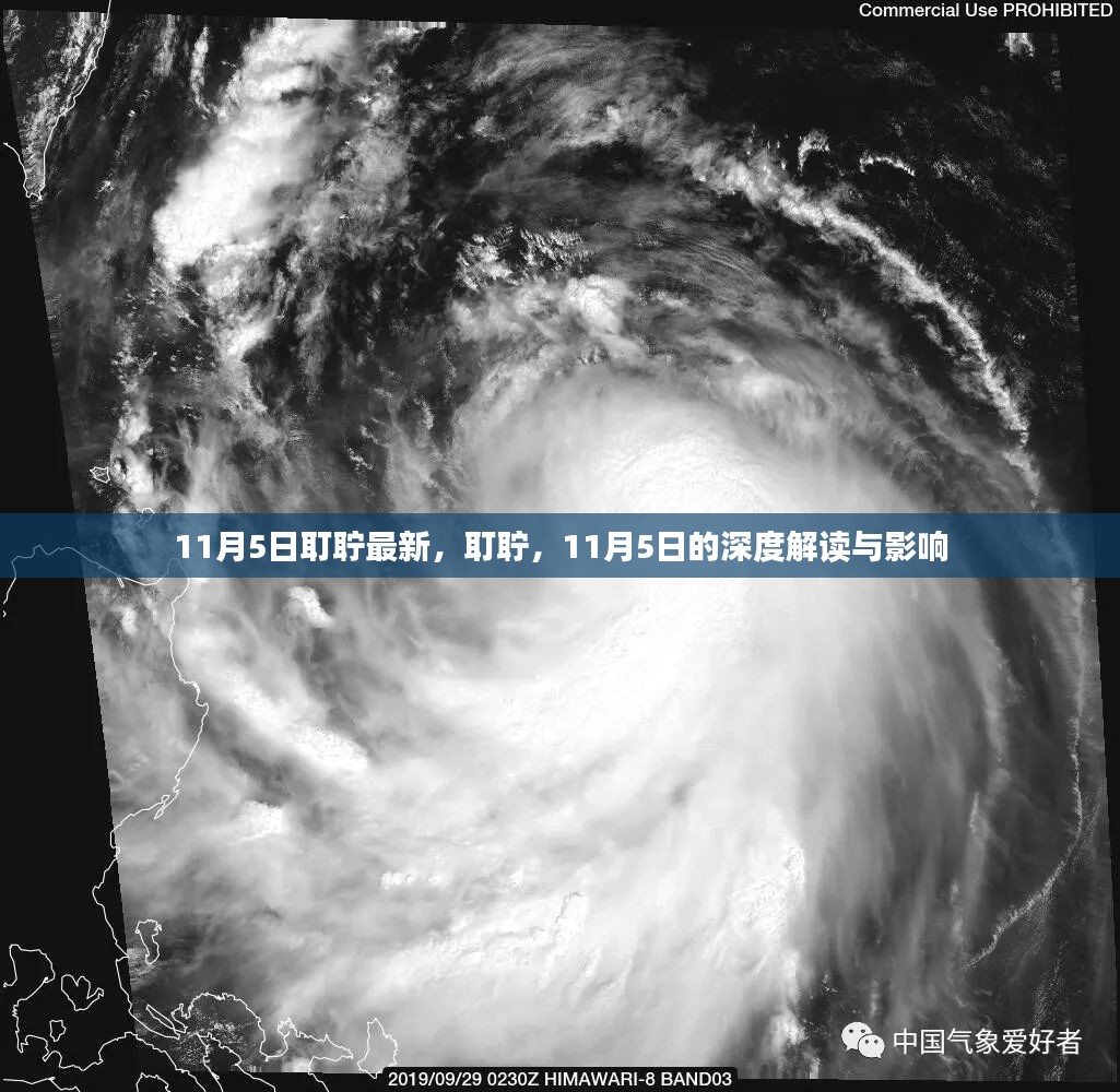 深度解读与影响，耵聍在11月5日的最新动态