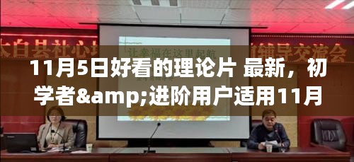 11月5日精选理论片指南，初学者到进阶用户的观影宝典与步骤详解