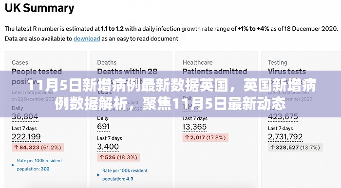 英国新增病例数据解析，聚焦英国疫情最新动态（11月5日更新）