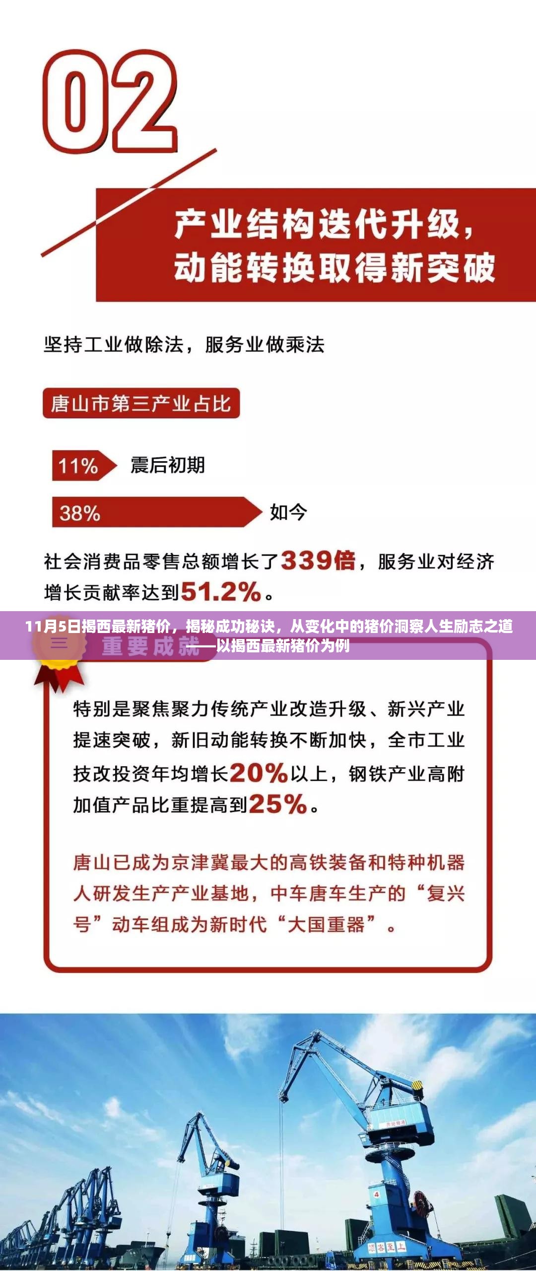 揭秘成功秘诀，从变化中的揭西最新猪价洞察人生励志之道