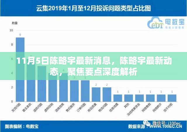 陈略宇最新动态及深度解析，聚焦要点揭秘