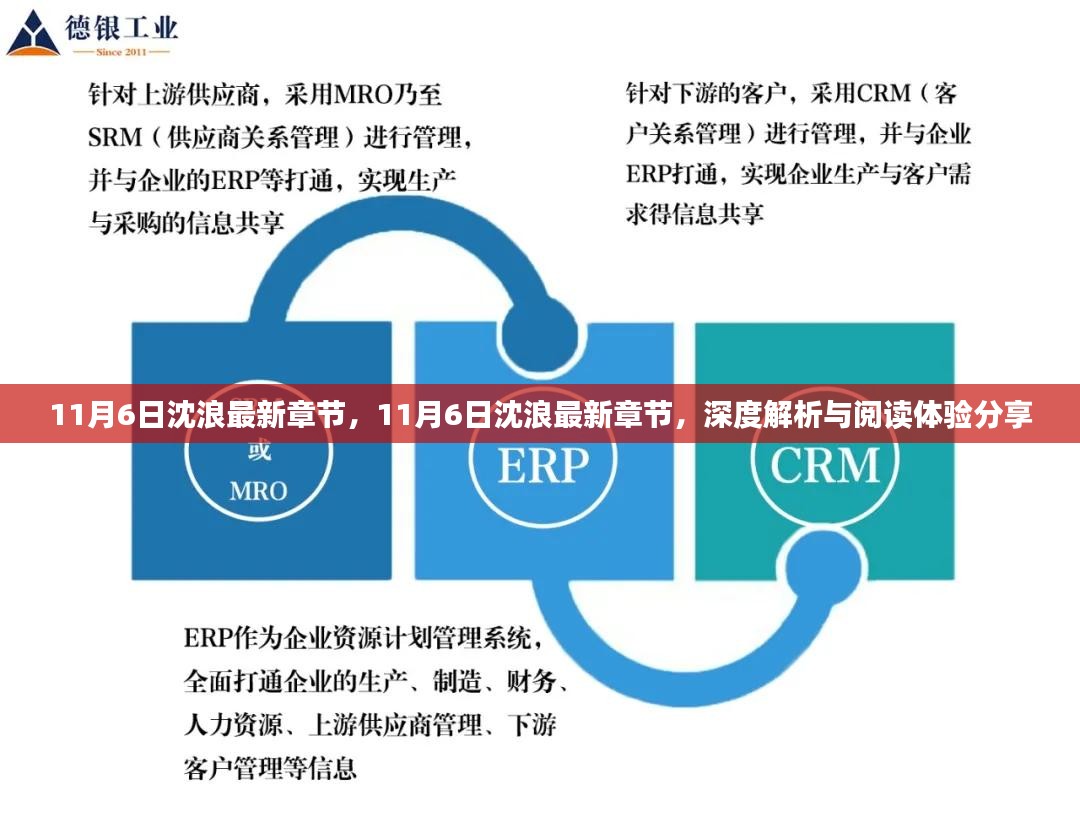 11月6日沈浪最新章节深度解析与阅读体验分享