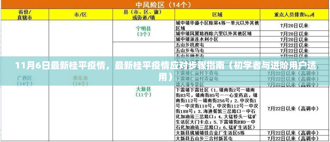 桂平疫情最新动态及应对指南，11月6日更新，适用于初学者与进阶用户