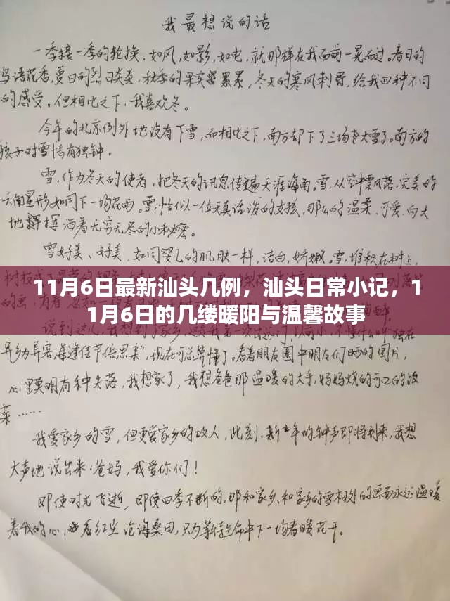 汕头日常小记，暖阳下的温馨故事与最新病例报告（11月6日）