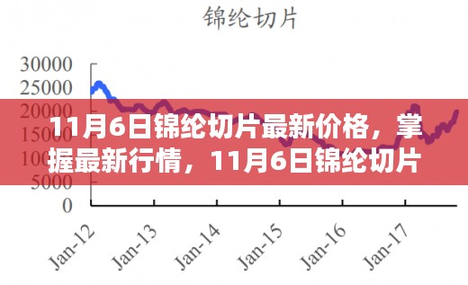 11月6日锦纶切片最新价格行情全攻略，初学者与进阶用户必备查询指南