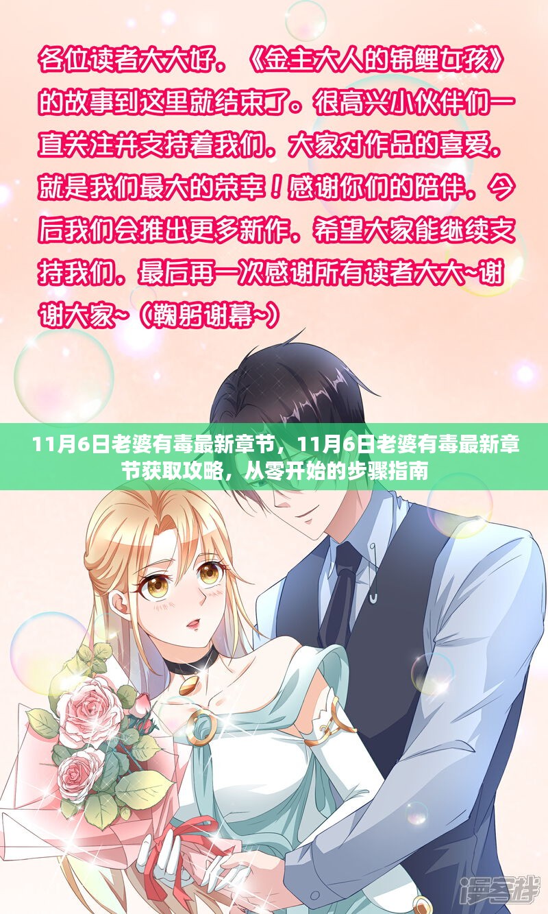 从零开始，获取11月6日老婆有毒最新章节的详细步骤指南与攻略