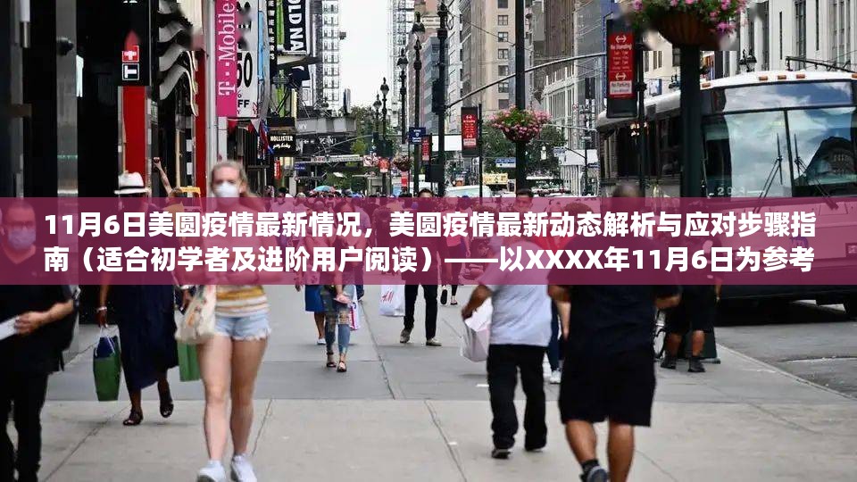 美圆疫情最新动态解析与应对指南（适合初学者及进阶用户阅读）——XXXX年11月6日最新更新