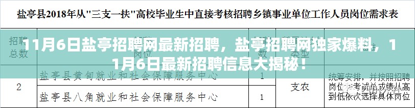 11月6日盐亭招聘网独家爆料，最新招聘信息大揭秘