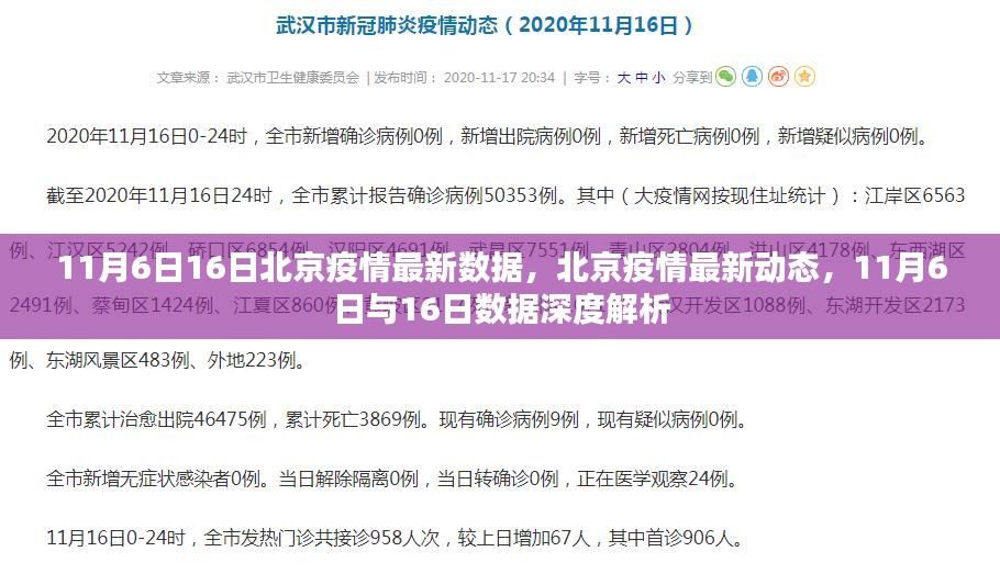 北京疫情最新动态解析，深度解读11月6日至16日数据报告