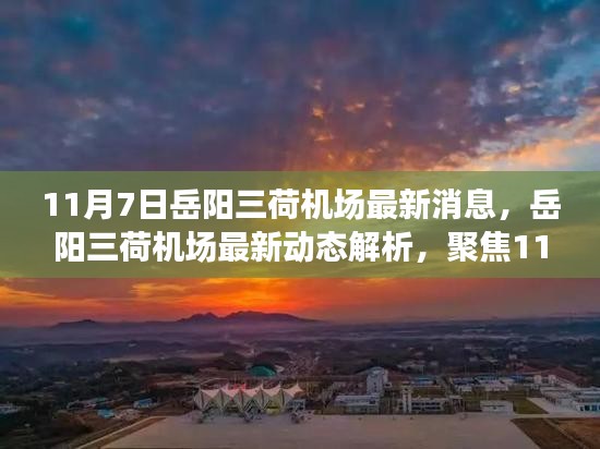 岳阳三荷机场最新动态解析，聚焦11月7日新消息及其深层影响