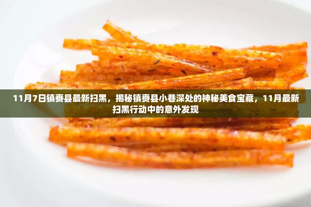 镇赉县扫黑行动意外发现小巷美食宝藏，揭秘镇赉美食与扫黑行动背后的故事