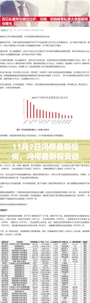 冯柳最新投资动态揭秘，11月7日投资轨迹与时代印记的交融