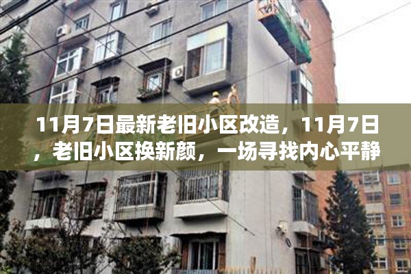 11月7日老旧小区改造，绿色探索之旅，焕新颜的宁静之旅