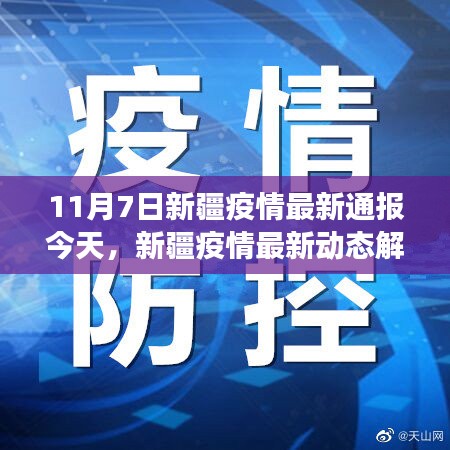 新疆疫情最新动态解析，11月7日通报的全面评估与深度剖析报告