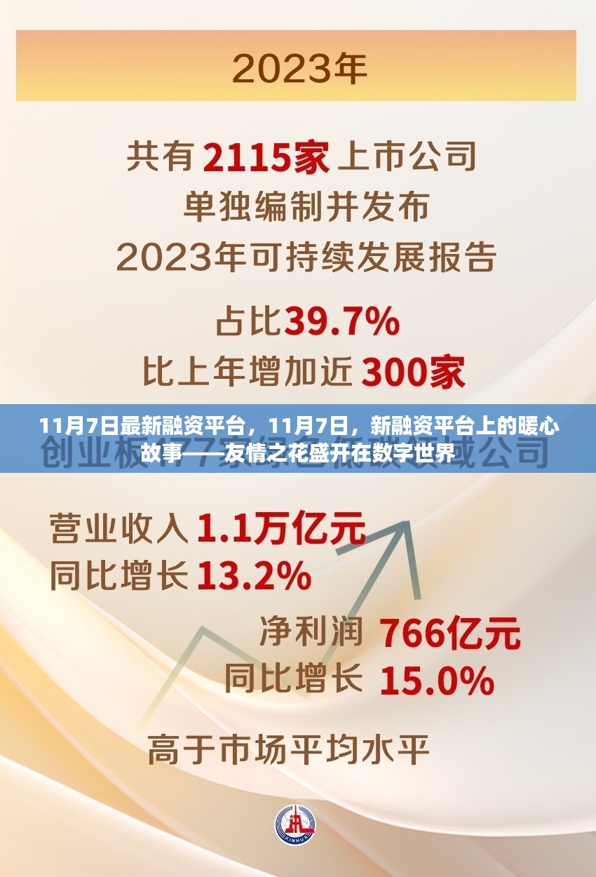 友情之花盛开在数字世界的暖心故事，最新融资平台上线纪实（11月7日）