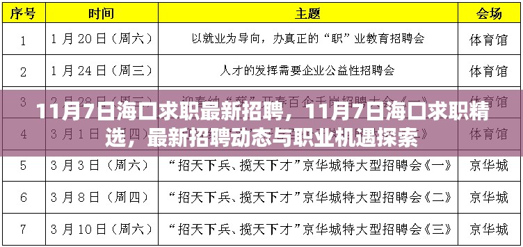 11月7日海口求职精选，最新招聘动态与职业机遇大探索