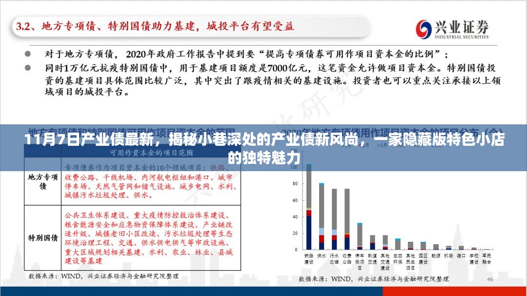 揭秘隐藏版特色小店，产业债新风尚的独特魅力（最新更新）