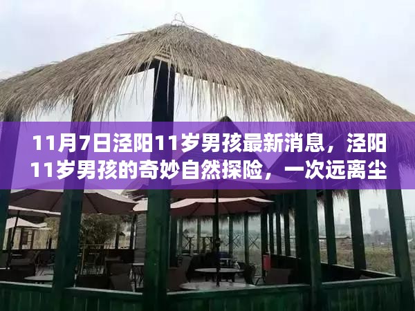 泾阳11岁男孩的自然探险之旅，远离尘嚣的心灵之旅