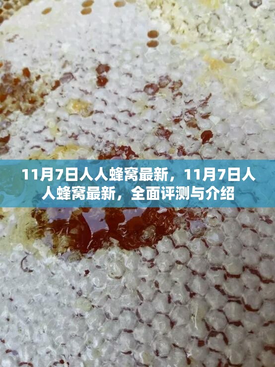 11月7日人人蜂窝全面评测与介绍，最新功能与特点详解