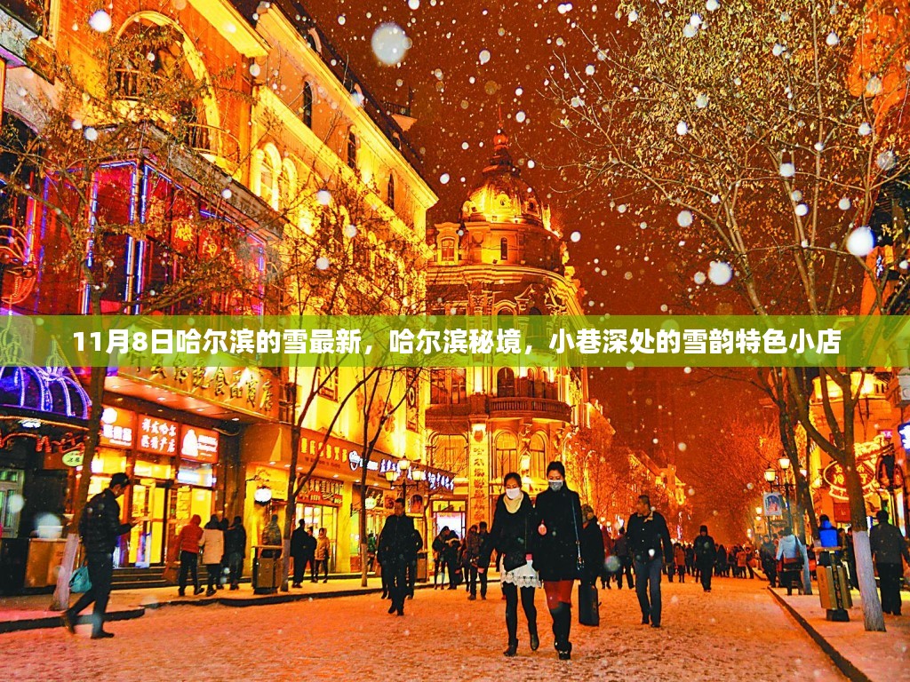 哈尔滨雪韵秘境，小巷深处的特色小店，最新雪景尽在11月8日