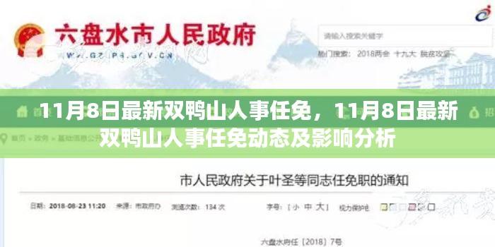 11月8日双鸭山人事任免动态及影响分析