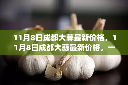 11月8日成都大蒜最新价格，心灵之旅探寻宁静与自然宝藏的宝藏地