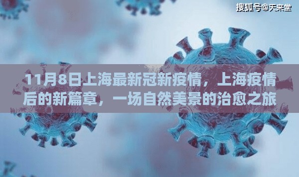 上海疫情后的新篇章，自然美景治愈之旅（最新疫情报道）