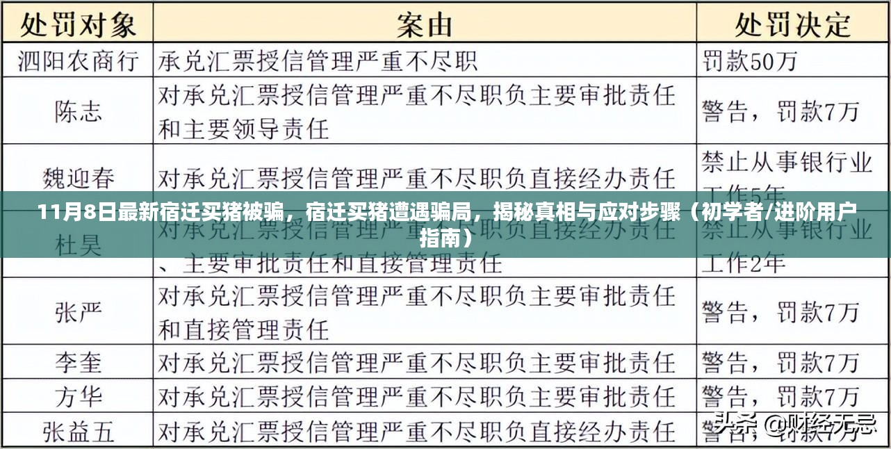 揭秘宿迁买猪骗局真相与应对步骤，初学者与进阶用户指南（最新宿迁买猪被骗事件）