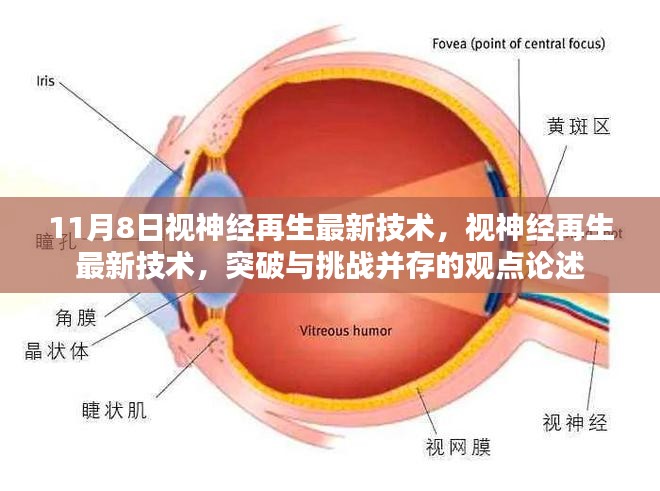 视神经再生新技术突破与挑战并存，11月8日论述最新进展
