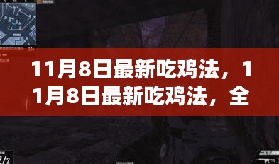 11月8日最新吃鸡法全面评测与介绍