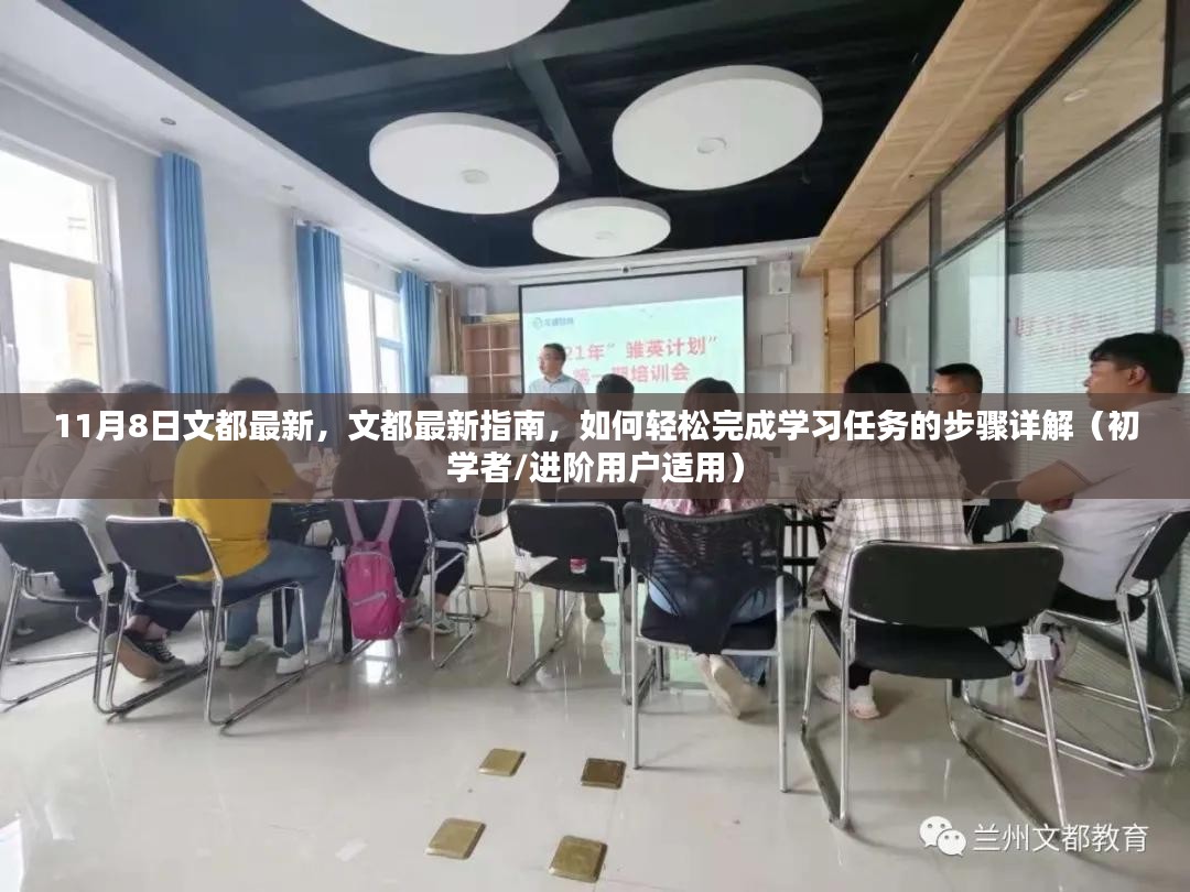 文都最新指南，11月8日版，初学者与进阶用户的学习任务完成步骤详解