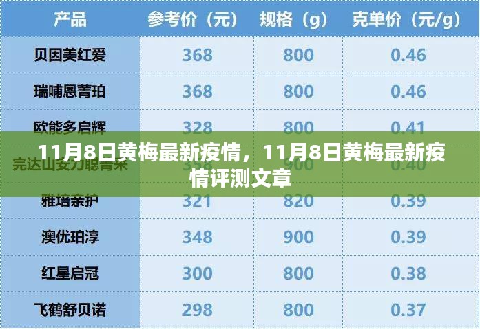 11月8日黄梅疫情最新动态与评测报告