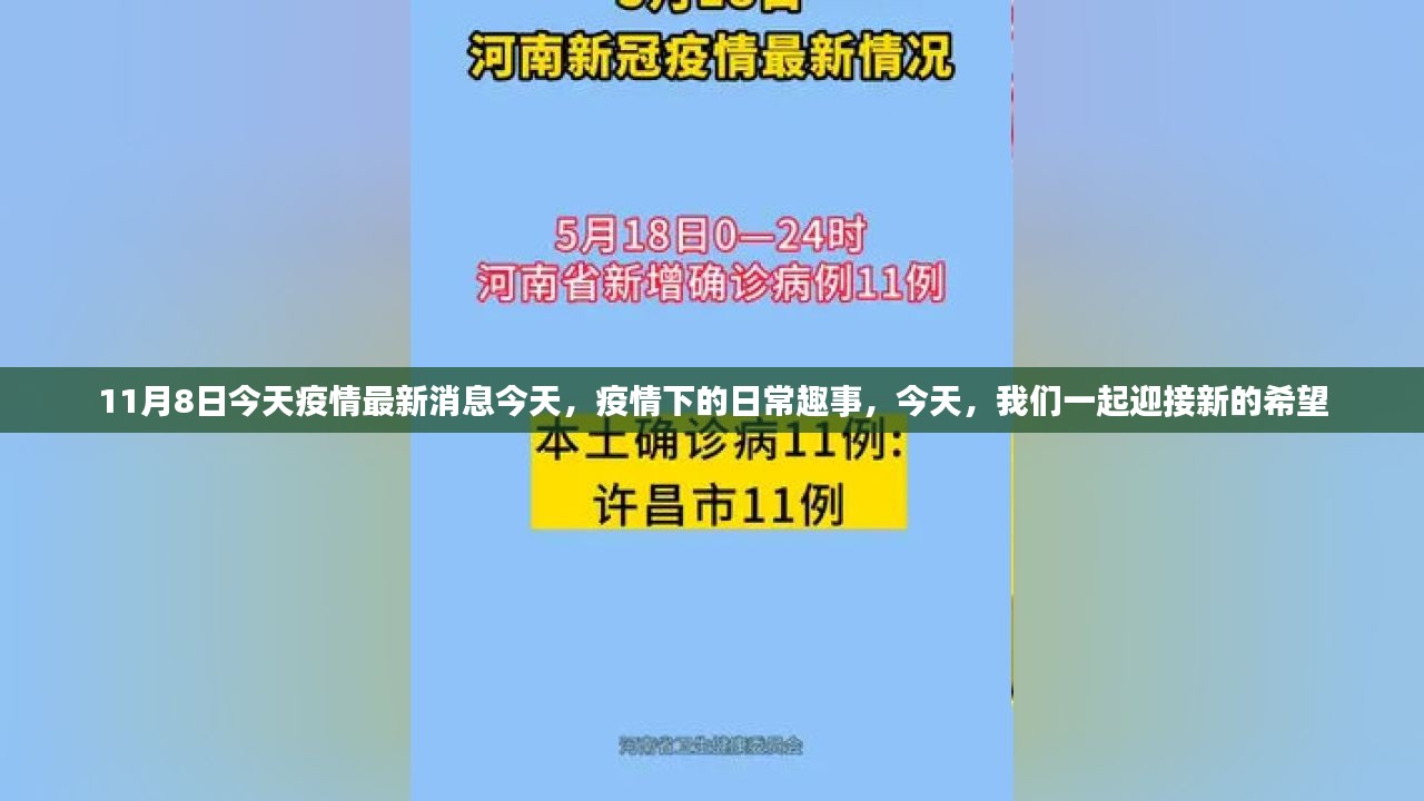 今日疫情最新动态，日常趣事中的新希望