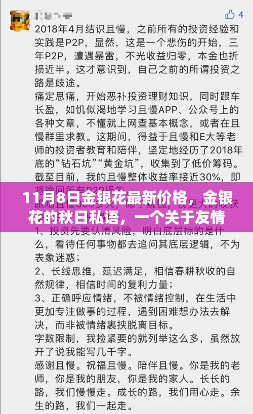 金银花的秋日私语，友情与陪伴的温馨故事及最新价格发布