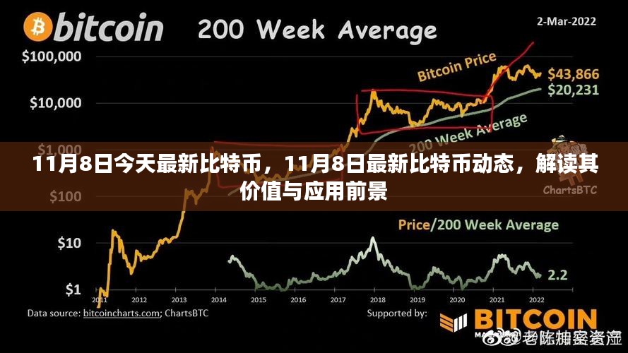 最新比特币动态解读，价值与应用前景展望（11月8日更新）