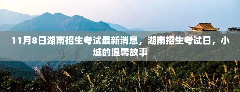 湖南招生考试最新动态，小城温馨故事日