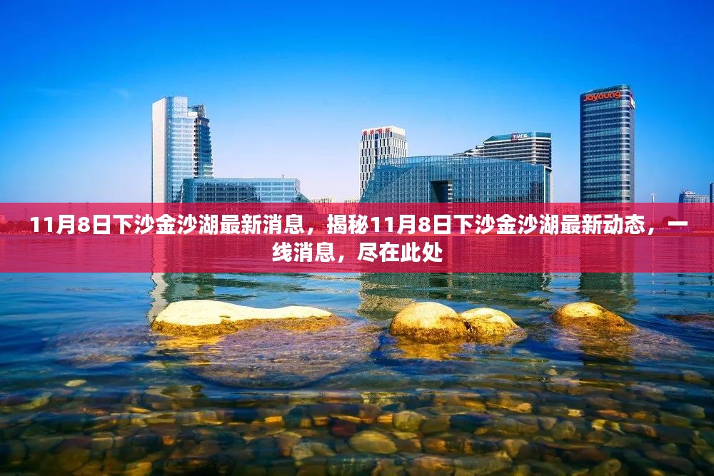 揭秘下沙金沙湖最新动态，一线消息尽在今日报道