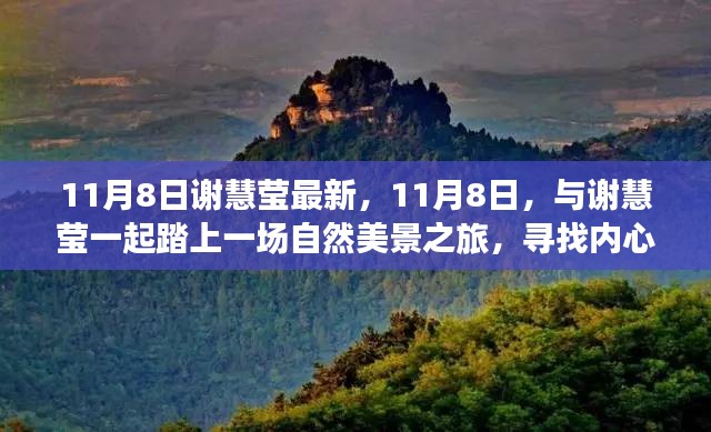 谢慧莹的自然之旅，寻找内心的宁静与平和的旅程（11月8日最新）