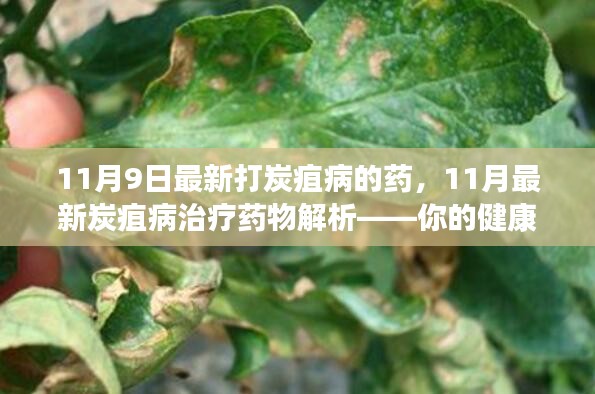 最新炭疽病治疗药物解析，健康防护指南助你应对炭疽病威胁