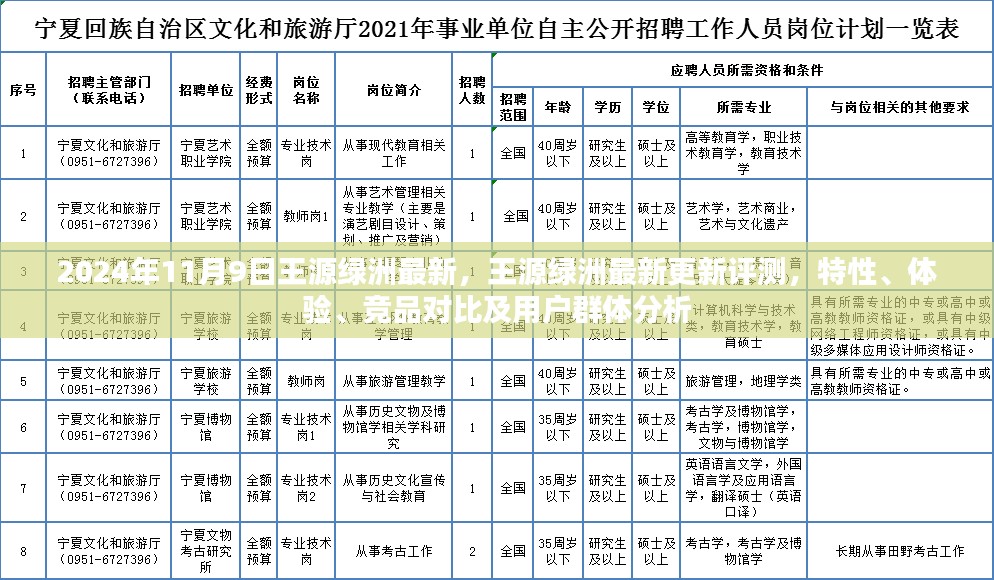 王源绿洲最新更新评测，特性、体验、竞品对比及用户群体深度解析