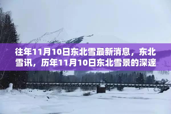 历年11月10日东北雪情回顾，最新雪景与深邃回眸