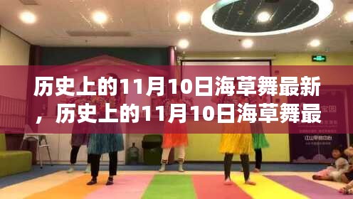 历史上的11月10日海草舞最新产品评测报告