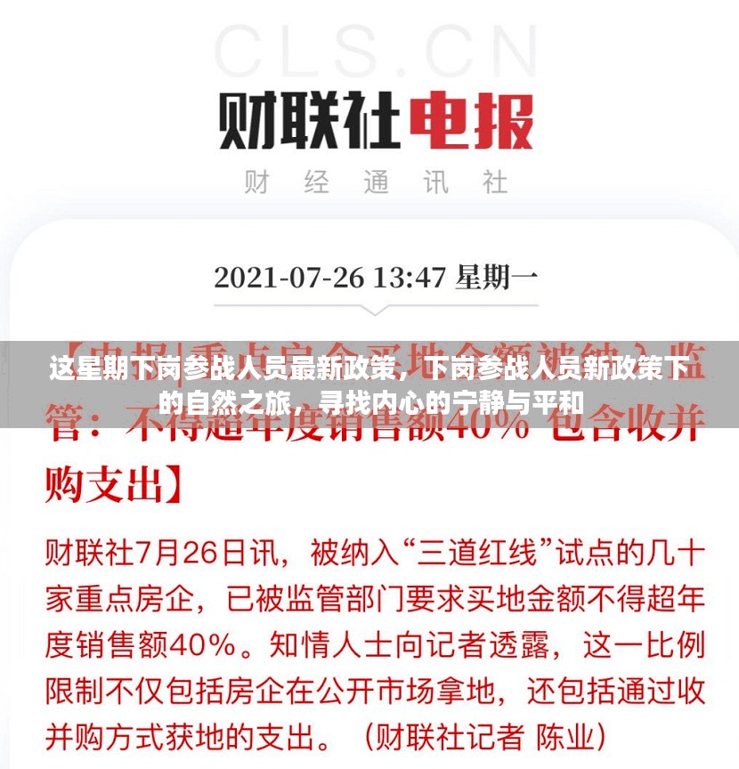 下岗参战人员新政策下的心灵之旅，寻求内心的宁静与平和