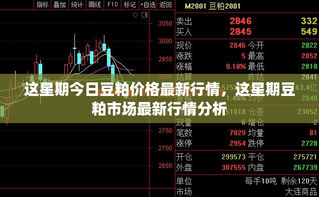 本周豆粕价格与市场行情分析，最新动态及趋势展望