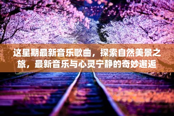 最新音乐与自然美景的奇妙交融，探索心灵宁静之旅