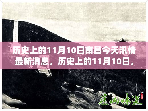 南昌汛情最新消息，历史视角下的深度解读与今日汛情更新（11月10日）