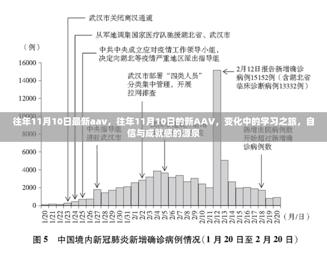 往年11月10日最新AAV，学习之旅的变化与成就感的源泉