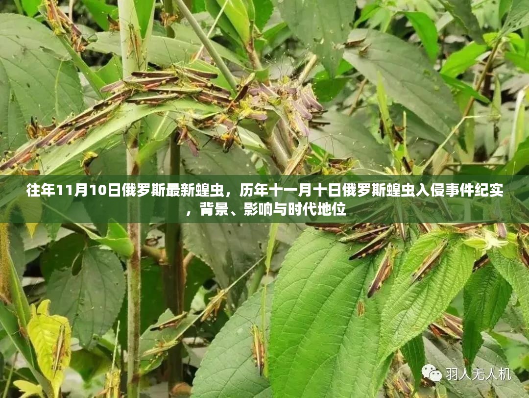 历年11月10日俄罗斯蝗虫入侵事件纪实，背景、影响与时代地位分析