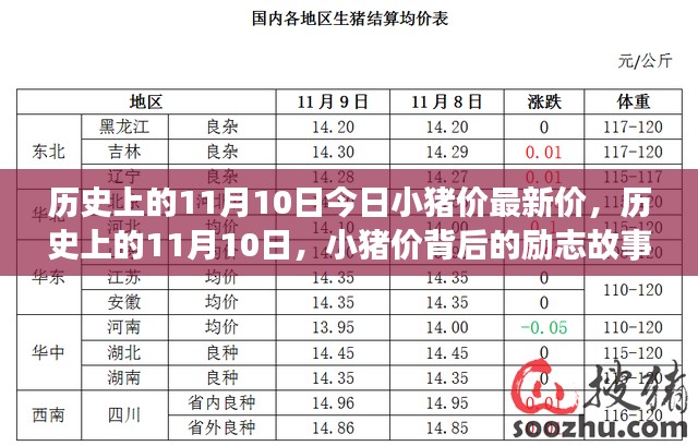 历史上的11月10日，小猪价背后的励志故事与成就感的源泉，今日最新猪价更新